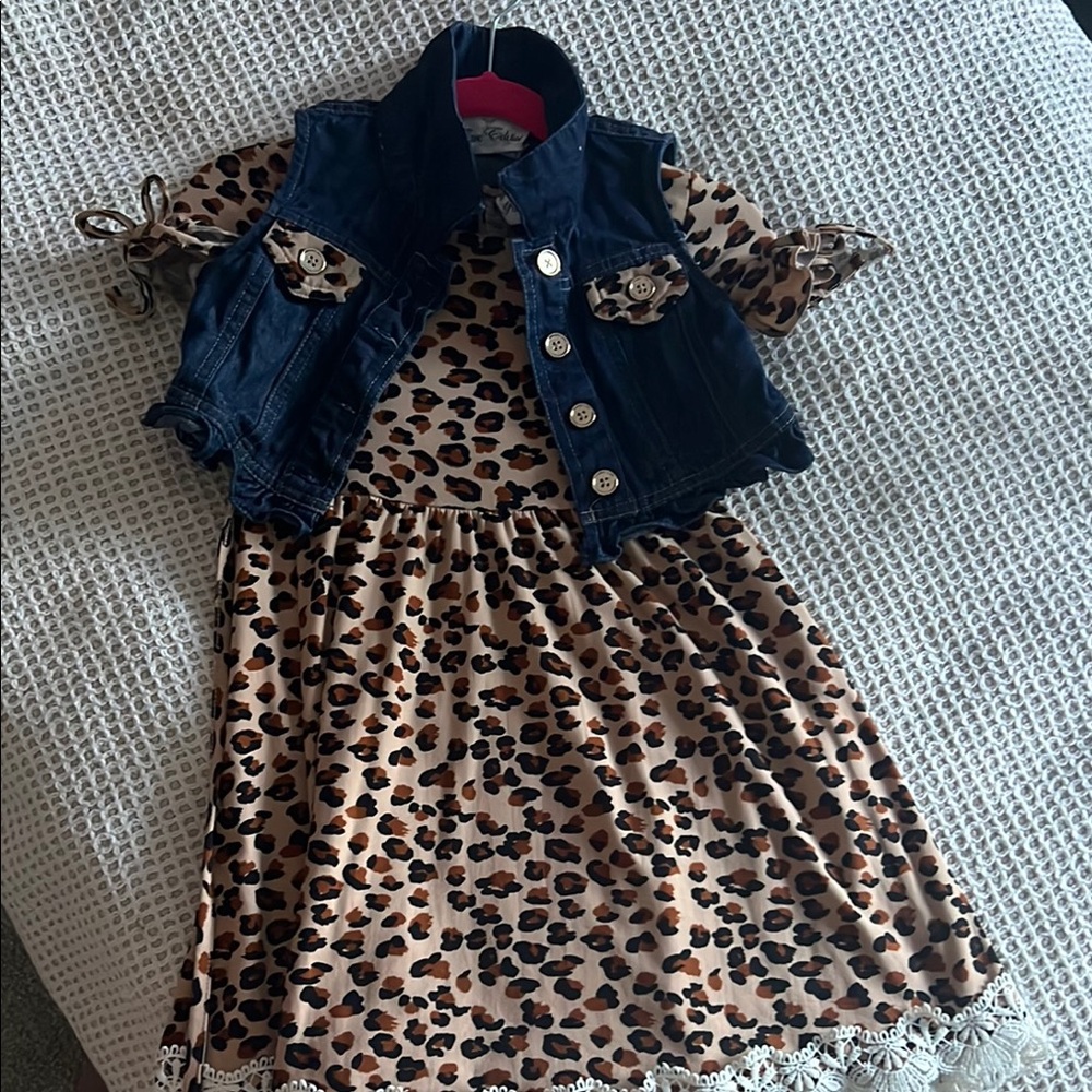 Rare Editions Blue and Brown Vest for Stylish Layering